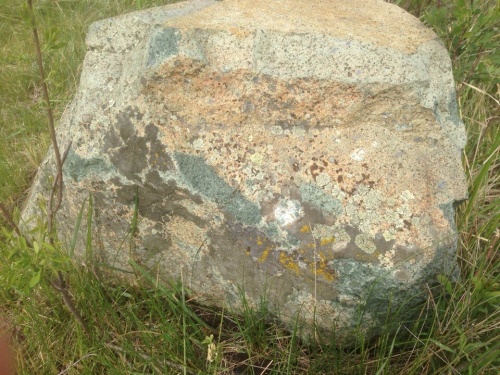 Гигантские зелёные валуны для ландшафтного дизайна весом более 5 тонн купить в Краснознаменском