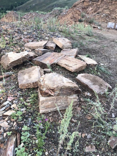 Плитняк кора дерева 50-100мм для пошаговых дорожек купить в Краснознаменском